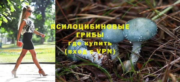 скорость mdpv Переславль-Залесский