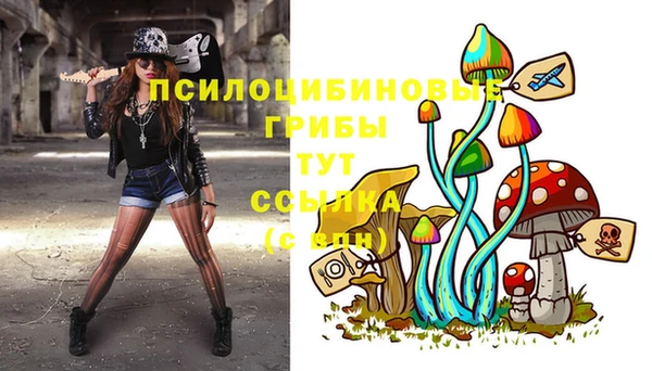 мяу мяу мука Пересвет
